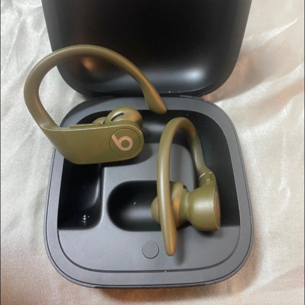 Beats by Dr. Dre Powerbeats Pro Totally Wireless in Moss